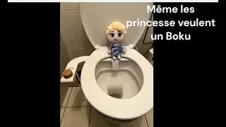Mon Boku tout neuf - déballage et installation