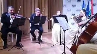 В.А.Моцарт. Eine kleine Nachtmusik (1-ч). Струнний ансамбль п/к Сергія Добоша.