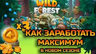 Как заработать максимум в p2e игре Wild Forest ? Успей получить бесплатные NFT перед TGE