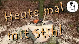 Stihl 261c Totalschaden - repariert - läuft sie wieder?