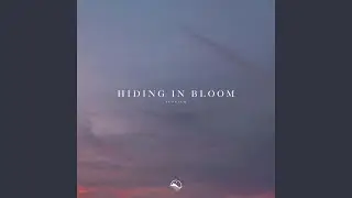Hiding in Bloom