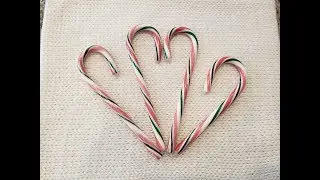 Dyepot Weekly #92 - Dyeing a Sock Blank with Candy Canes; Christmas Special!