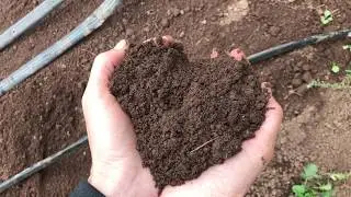 Grow and Tell: Oregon Microbe Farmer
