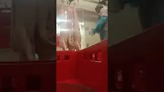 Butcher in maso jicin