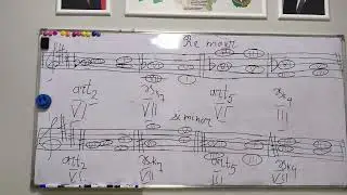 Xasiyyətli intervallar - 3 işarəli qammalarda