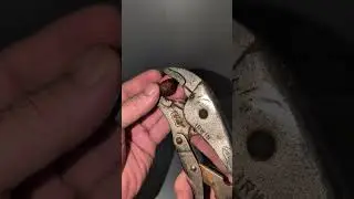 How to open a peach seed or peach pit?
