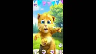 Talking Ginger Live Streaming