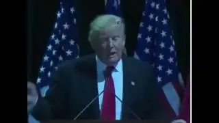 Best trump vine