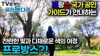 프랑스 국가 공인 가이드가 안내하는 찬란한 빛과 다채로운 색의 여정, 프로방스?!ㅣ프로방스 아트 로드ㅣ세계테마기행ㅣTV로 보는 #골라듄다큐