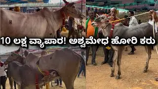 ಆಶ್ವಮೇಧ ದಾಸರಹಳ್ಳಿ ಡಾನ್ ಮಗ 10 ಲಕ್ಷ ವ್ಯಾಪಾರ ಕೆಂಗಲ್ ದನಗಳ ಜಾತ್ರೆ 