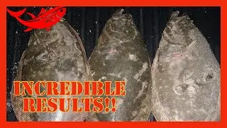 FLOUNDER Gigging on the BEACH: INCREDIBLE Results!!!