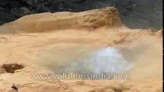 Sulphur water smells like rotten eggs and gushes out of the Himalaya here