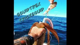 New Squidtrex tricks squid #squidtrex #squid #fishing