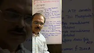 Std 9 Sci Ch 5 Fundamental unit of life  Cell