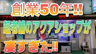 創業50年の超老舗アクアショップ‼　aquarium　アクアリウム　海水魚　金魚　熱帯魚　サンゴ　水槽