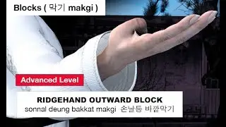 Taekwondo - Ridgehand Outward Block ( 손날등 바깥막기 sonnal deung bakkat makgi )
