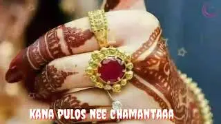 Biravee song