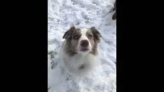 SnowTroubles 2022 Piper Chloe
