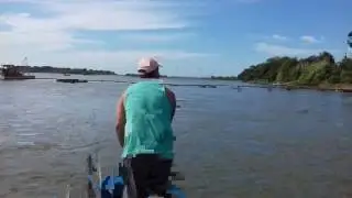 Como se tarrafea