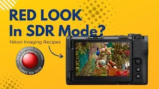 Записываете в режиме SDR? Получите эффект RED без записи в формате RAW | Рецепты Nikon для создат...