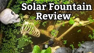 Pond Fountain | review | wish app