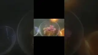 Iskush ko Achar ( Chokos spicey Salad)