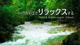 【癒し・4K風景映像／ピアノと自然音】静かな渓谷を流れる清らかな水音｜穏やかな夜を過ごすための安らぎBGM（睡眠・安眠）