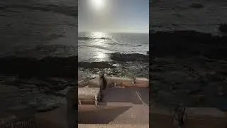 #Morocco 🇲🇦 #Essaouira Game of Thrones&rsquo; Astapor city with Purple Islands panoramic view.