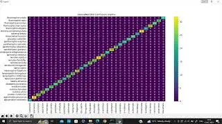 A13   Snake Species Identification and Recognition