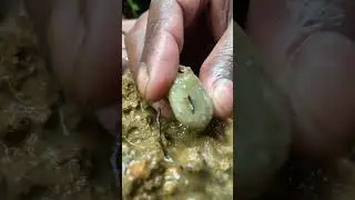 Ooh God, Found Gold NUGGET 😮 #gold #goldprospecting #goldnugget #goldnuggets #goldcleanup  #gemstone
