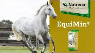 Nutrena EquiMin Loose Horse Mineral