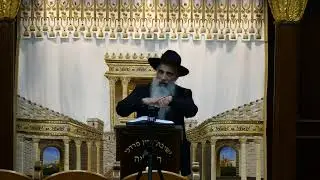 הרב מאיר דוד שמואלי שליט