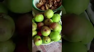 дары природы