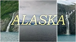 Wild Alaska (4K) | Cinematic Nature B Roll