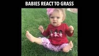 Babies React To Grass