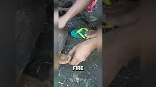 How Did Ancient Humans Make Fire?