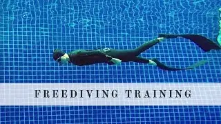 PRO Tips About Freediving Training for Beginners