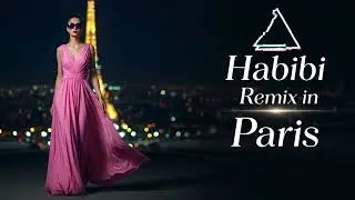 Habibi Remix in Paris &ndash; This Arabic Beat Took Over the City at Night