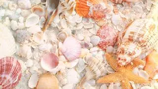 Best photo 2018 - Amazing natural images 2018