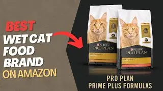 Top 5 Wet Cat Food Brand Best On Budget 2023 | Best Wet Cat Food Brand On Amazon 2023 Review
