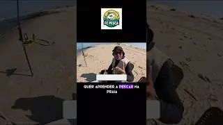 PESCA DE PRAIA A MELHOR MODALIDADE DE PESCA DO MUNDO  #surfcasting #pescadepraia #pescaria