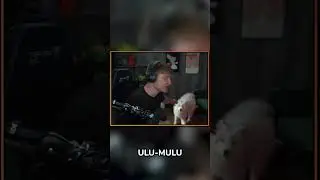 PAN KOT TO RENGAR 😸