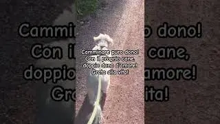 Quante volte diamo per scontato, camminare. Che grande dono! Farlo con il proprio cane, amore puro!