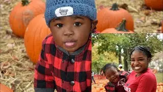 Pumpkin Patch at Queens County Farm 🎃 👩&zwj;🌾🐂🌾🐔