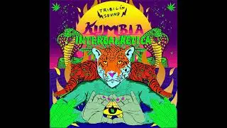 Tribilin Sound - Cumbia Al Atardecer
