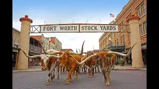 Fort Worth, Texas // Stock Yards Sights + Shopping
