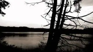 Vibrasphere - Floating Free (Progenitor Rmx)