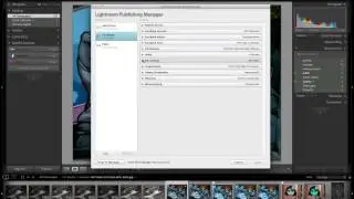 Lightroom 4 Publish Services 11