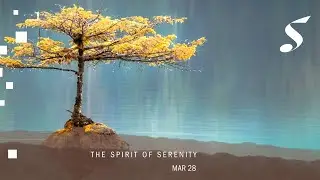 The Spirit of Serenity - Concert Livestream (28 March 2020) #SSOPlayOn