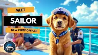 Why This Cruise Ship Puppy Has Everyone Talking
